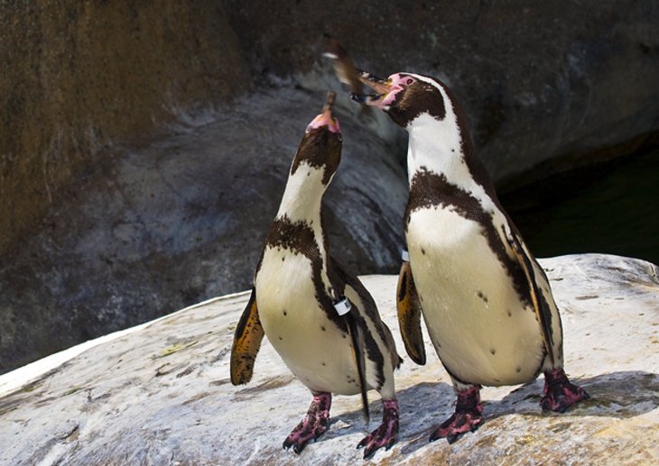 Santa Barbara Zoo