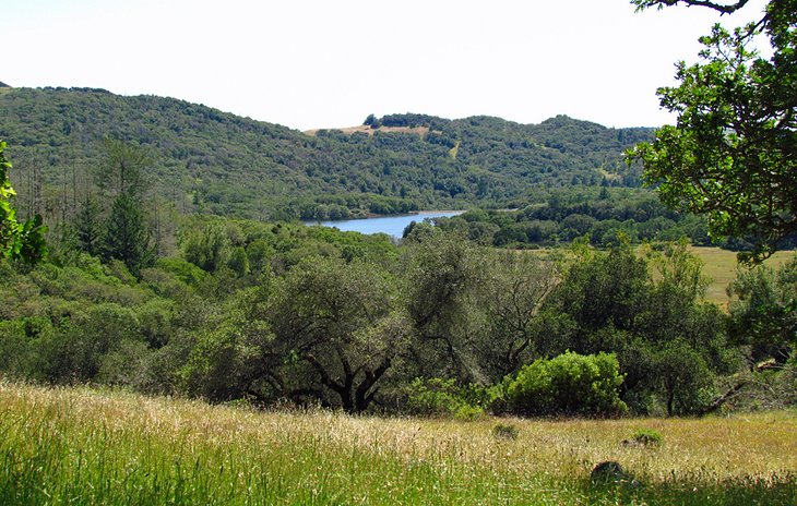 Trione-Annadel State Park in Sonoma County