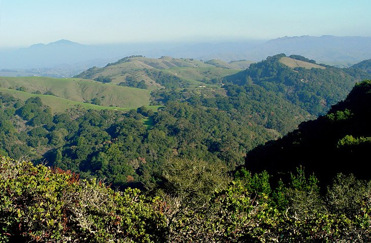 Huckleberry Botanic Regional Preserve