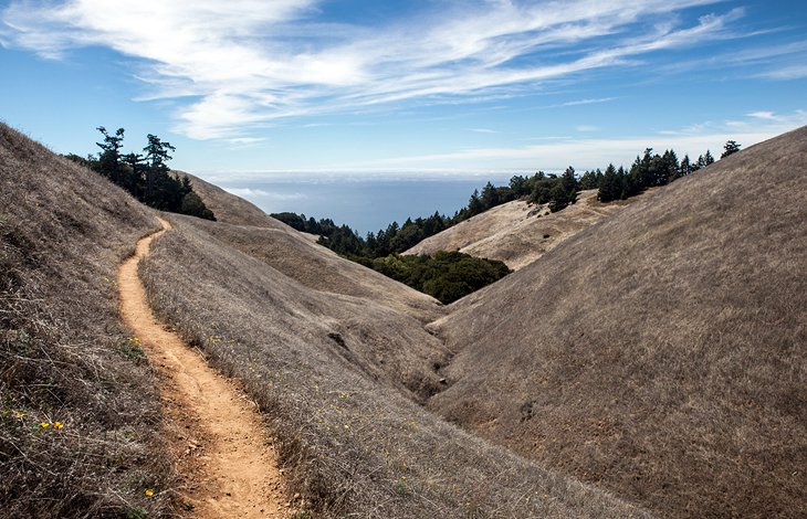 Mount Tamalpais