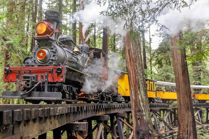Roaring Camp Railroad