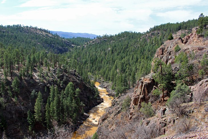 The Animas River in San Juan National Forest