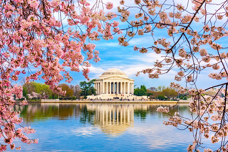 Jefferson Memorial and Tidal Basin