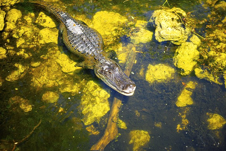 Everglades National Park