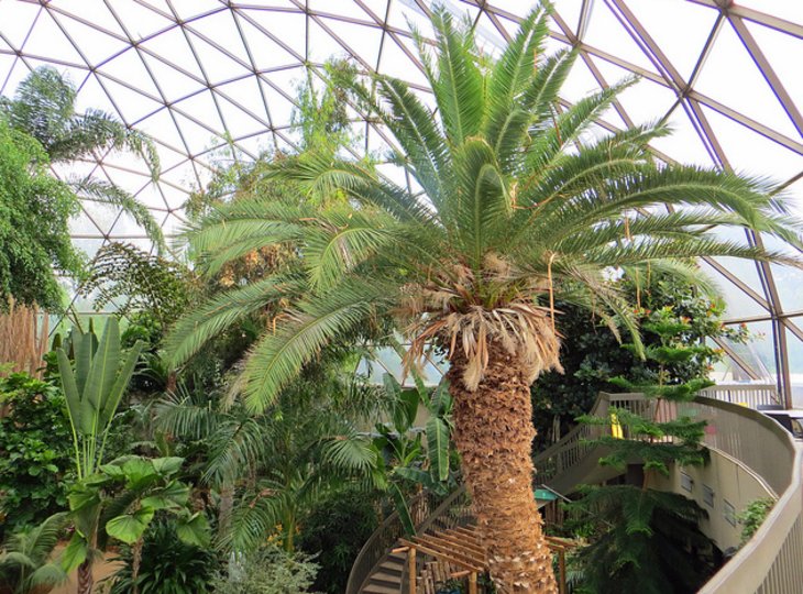 Greater Des Moines Botanical Center