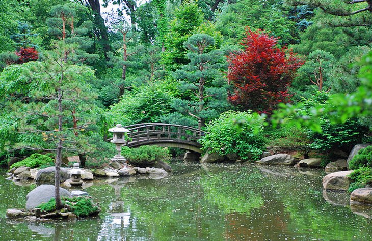 Anderson Japanese Gardens