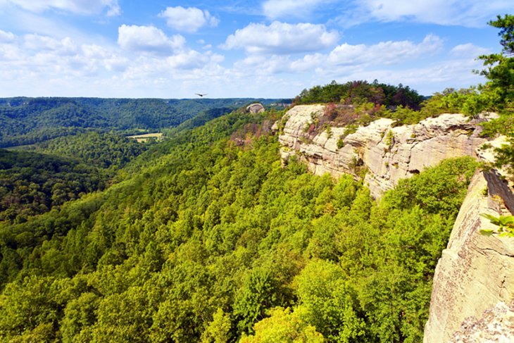 Daniel Boone National Forest