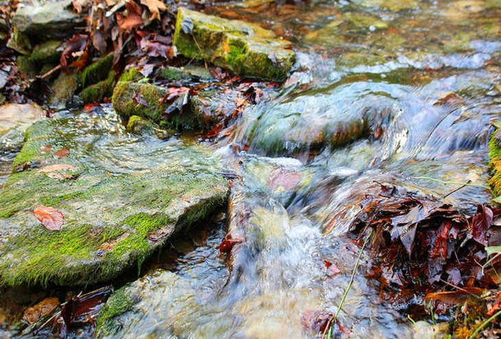 Raven Run Nature Sanctuary