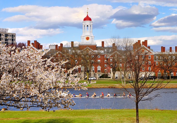 Harvard in the spring