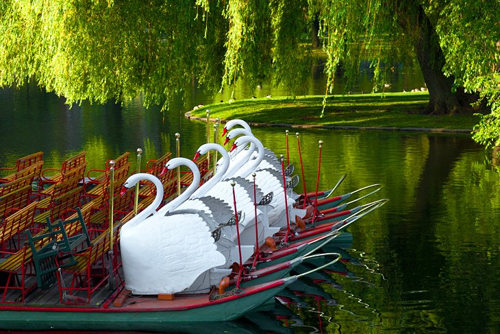 Boston Common and Public Garden Swan Boats