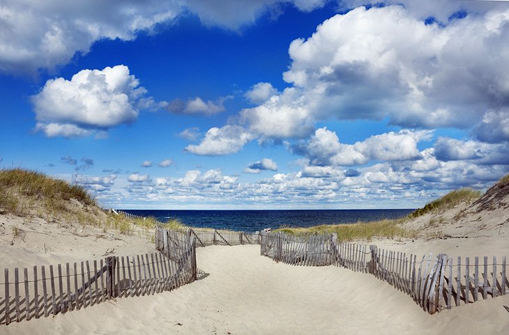 Pathway to the beach in Cape Cod