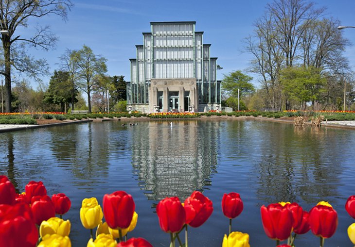 Jewel Box