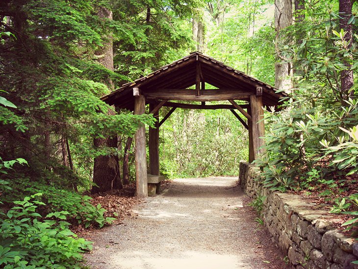 Botanical Gardens of Asheville