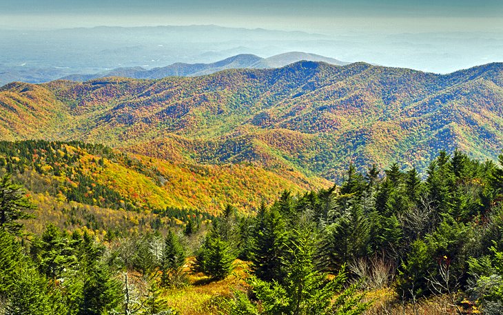 Mount Mitchell State Park