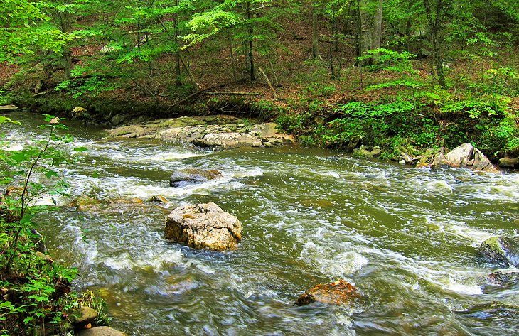 William B Umstead State Park