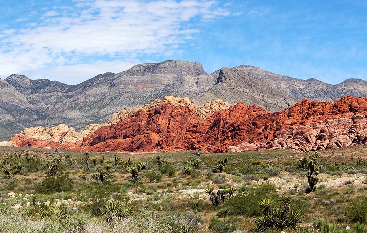 Calico Hills, Red Rock Canyon National Conservation Area