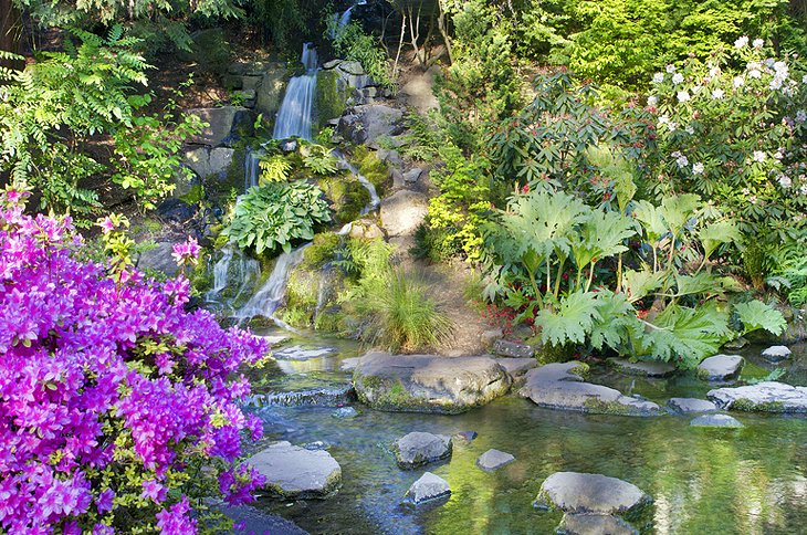 Crystal Springs Rhododendron Garden