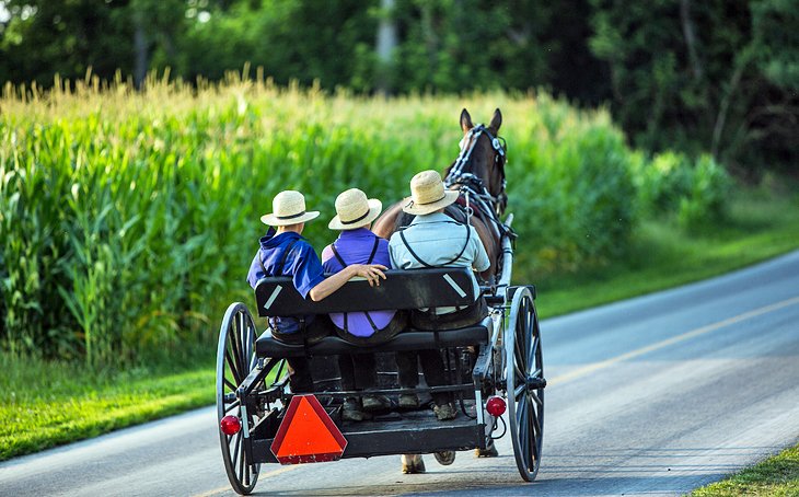 Amish Cart in Dutch Country