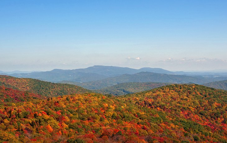 The Sugarlands