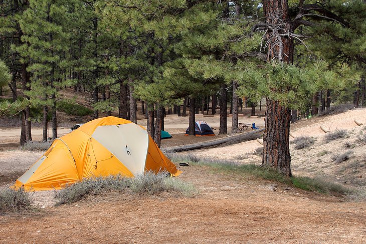 Bryce National Park North Campground