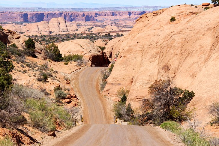 Road in Sand Flats Recreation Area