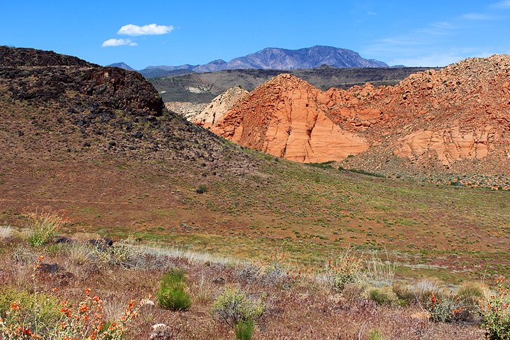 Yellow Knolls Trail, Red Cliffs Recreation Area