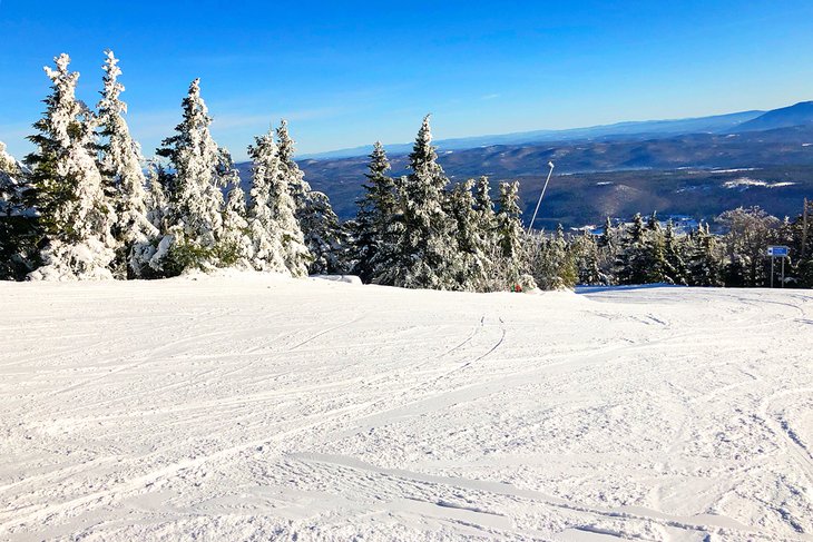 What are some family ski resorts in Vermont?