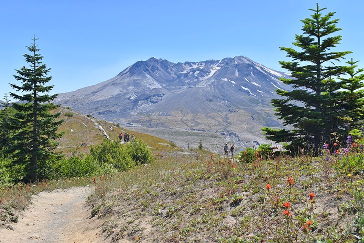 بنای یادبود آتشفشان ملی Mount St. Helens
