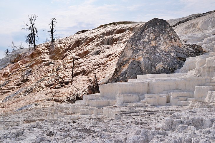 Mammoth Hot Springs, the namesake attraction of Mammoth Springs Campground