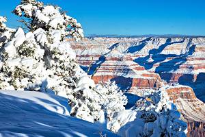 9 Best Places to See Snow in Arizona