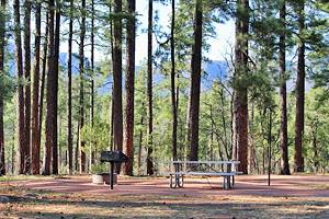 Top-Rated Campgrounds near Payson, Arizona