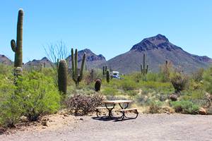 Top Campgrounds in Arizona