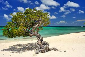 12 Best Beaches in Aruba (with Map)