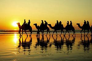 11 Top-Rated Tourist Attractions in Broome, WA