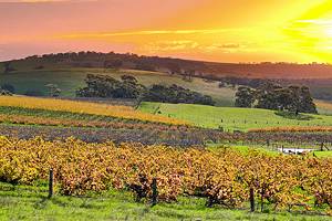 16 Top-Rated Attractions & Things to Do in the Barossa Valley