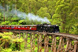 14 Top-Rated Tourist Attractions in the Dandenong Ranges