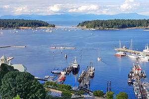 11 Top-Rated Things to Do in Nanaimo, BC