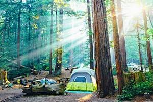 Best Campgrounds near Big Sur/Pfeiffer Big Sur State Park