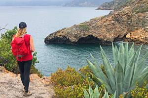 7 Top Things to Do in Channel Islands National Park, CA