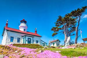 10 Top-Rated Things to Do in Crescent City, CA