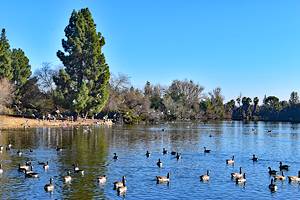 Fresno's Best Parks