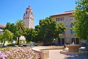 16 Top-Rated Attractions & Things to Do in Palo Alto, CA