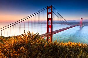 23 Top-Rated Tourist Attractions in San Francisco