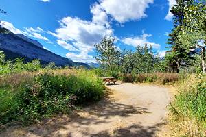 8 Best Campgrounds in Canmore, Alberta