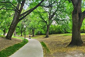 Montreal's Best Parks