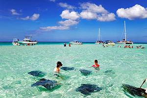 16 Top-Rated Tourist Attractions in the Cayman Islands