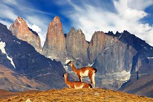 Chile's Top Hikes