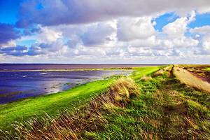 13 Top Tourist Attractions in Esbjerg & Easy Day Trips