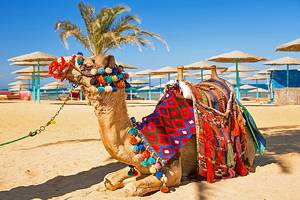 13 Top-Rated Things to Do in Hurghada
