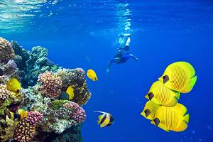 12 Top-Rated Tourist Attractions in the Red Sea Region